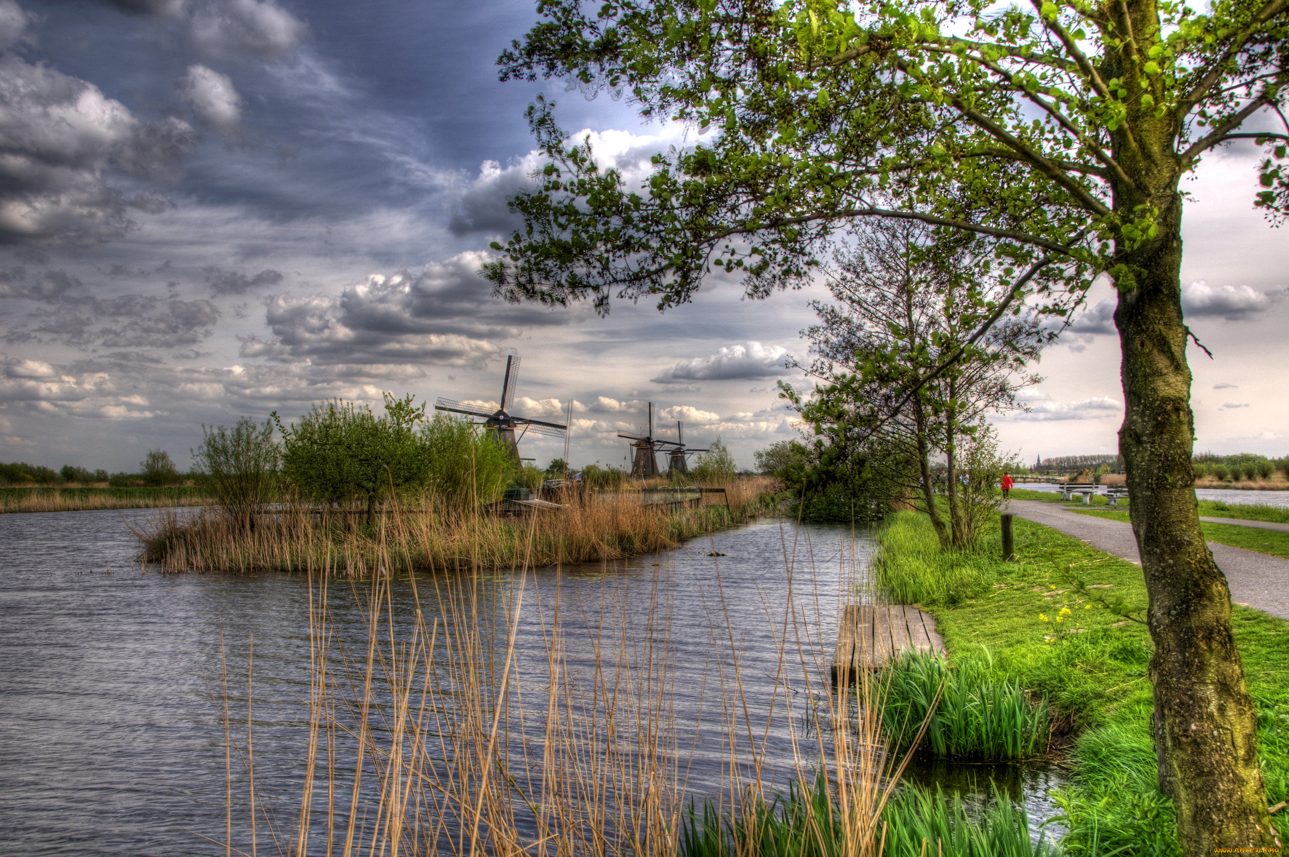 , kinderdijk, holland, , , , 